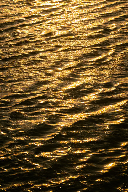 金色阳光反射在水面上图片下载