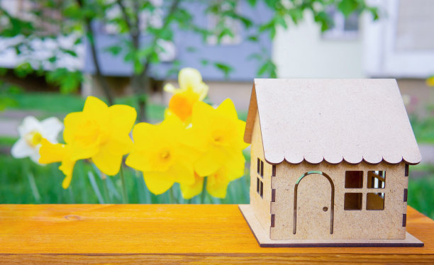 户外水仙花床旁的玩具木屋图片下载