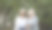 老年妇女在后院散步，聊天图片下载