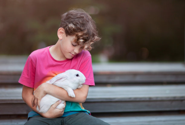 男孩和兔子在木地板上图片下载