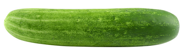 新鲜的绿黄瓜孤立在白色背景上图片下载