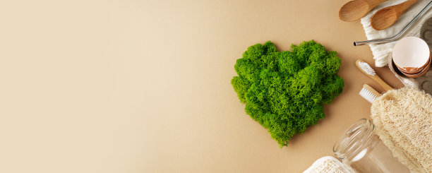 世界地球日概念，绿色植物心脏和环保回收物品图片下载