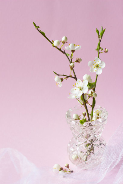 春天的白色樱花枝在玻璃花瓶上的粉彩粉红色的背景。空白空间，3月8日，母亲节，妇女节，复活节快乐，婚礼，生日背景图片下载