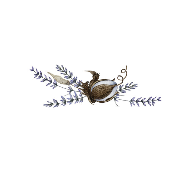 干花成分图片下载