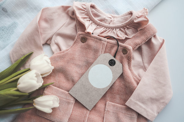 可爱的婴儿粉连衣裙与工艺标签，空间为您的标志图片下载