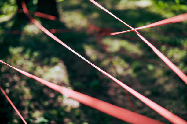 绿色森林树叶中的红色缠绕绳，环保的抽象艺术品图片下载