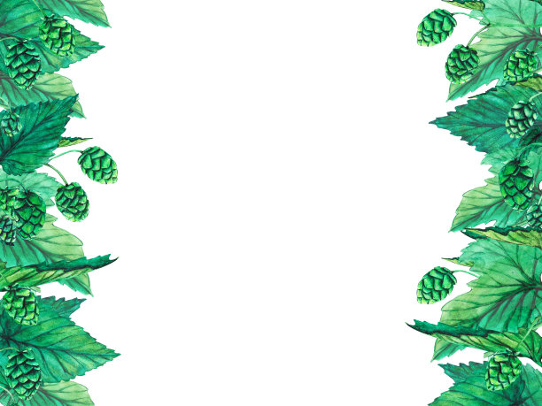 新鲜绿色啤酒花边框，水彩手绘插画图片下载