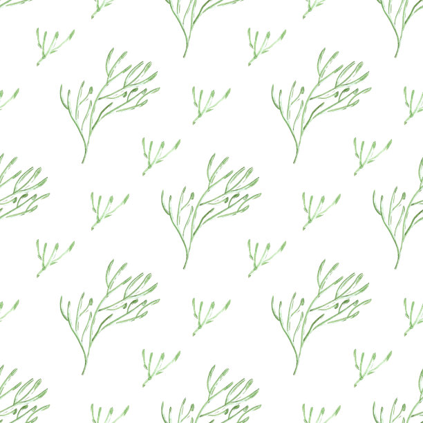 手绘水彩贝壳和海藻无缝模式孤立在白色背景。剪贴簿，明信片，纺织品，织物。图片下载