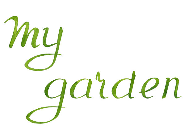 水彩画题词我的花园。手绘字体。图片下载
