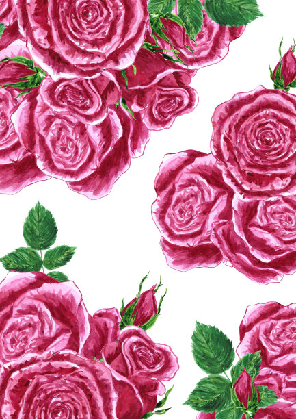 手绘水彩红玫瑰花束。孤立在白色背景上。剪贴簿，明信片，横幅，标签，海报。图片下载