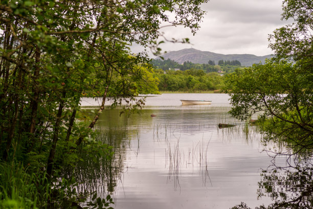 爱尔兰多尼戈尔的埃斯克湖上雄伟的湖泊和森林景观。图片下载
