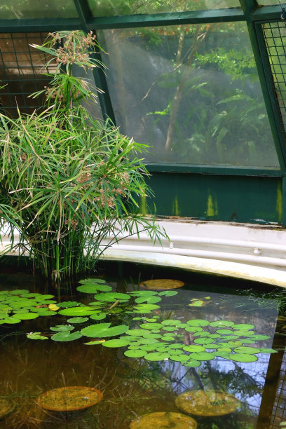 温室植物图片下载