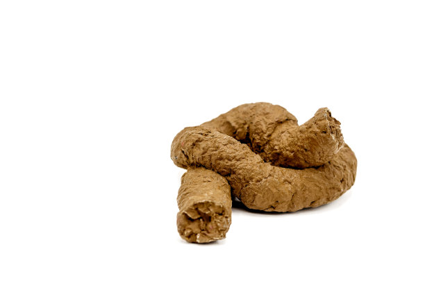 白色背景上隔离的塑料粪便。有选择性的重点。图片下载