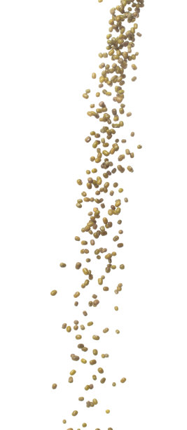 绿绿豆成群落，绿绿豆飘炸，抽象云飞。干绿绿豆在空气中飞溅。白色背景隔离高速快门，定格运动图片下载