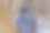 穿蓝色夹克的女孩从背后看冬天。图片下载