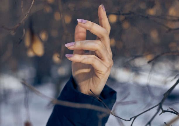 漂亮的女人的手。美丽的自然背景。图片下载