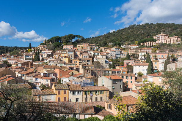法国南部博尔梅斯含羞草小村庄的风景，黄色的含羞草在温暖的冬日阳光下盛开图片下载