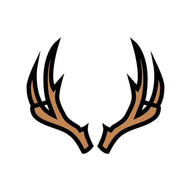 驯鹿角动物颜色图标矢量插图图片下载