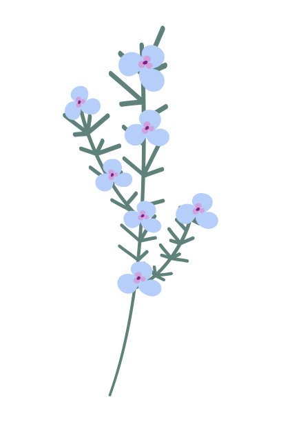 一朵盛开的小树枝的抽象形象与鲜花在时尚的明亮的颜色。你好,夏天。春天图片下载