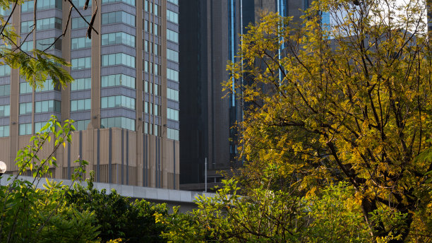 曼谷的现代建筑被绿色植物覆盖图片下载