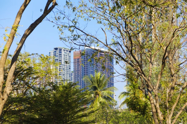 Chatuchak公园后面的现代摩天大楼公寓图片下载