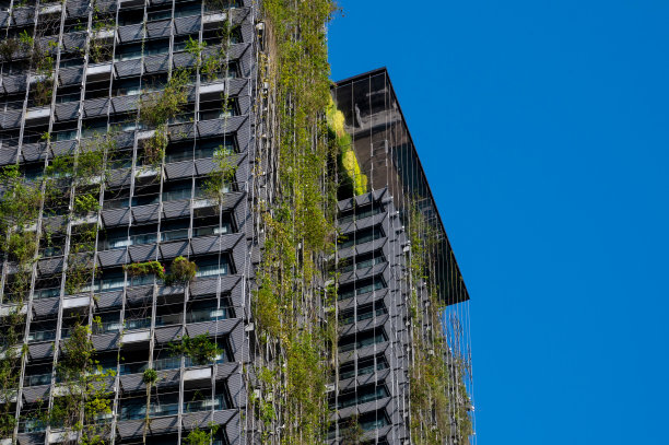 在阳光明媚的日子里，现代建筑住宅塔楼覆盖着活的植物图片下载