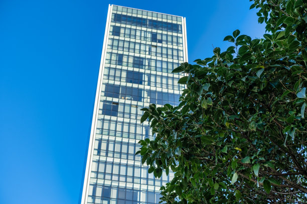 绿色城市图片下载