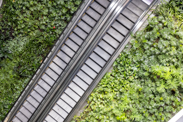自动扶梯与生活墙覆盖植物，背景与复制空间图片下载