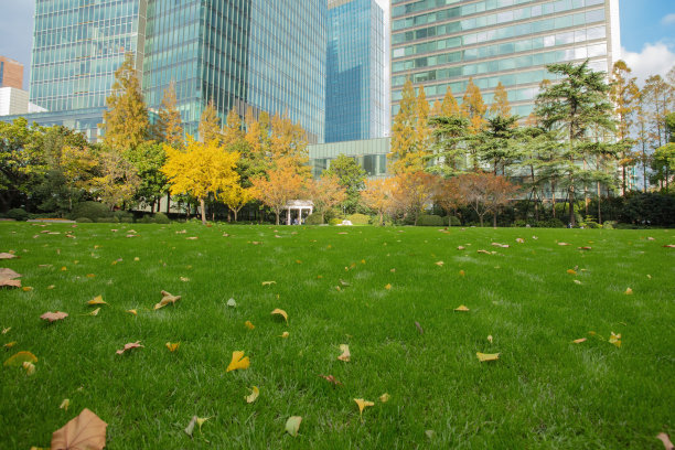 城市绿地和办公建筑图片下载