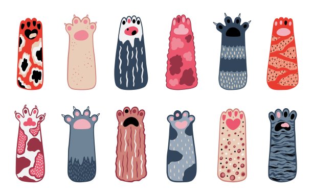 猫爪和爪子，老虎和豹子宠物。皮毛动物脚，野生性格小猫彩色脚印，可爱的小猫手或腿。涂鸦画喵，矢量手绘卡通插画图片下载