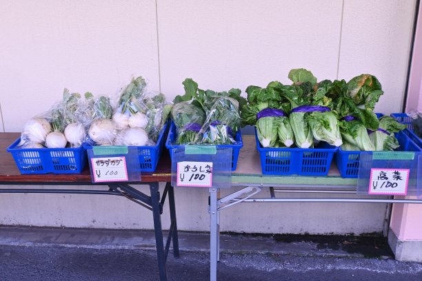 图为日本食品杂货市场。图片下载