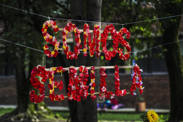 短语我们是种子图片下载