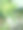 美丽的小绿色植物照片图片下载