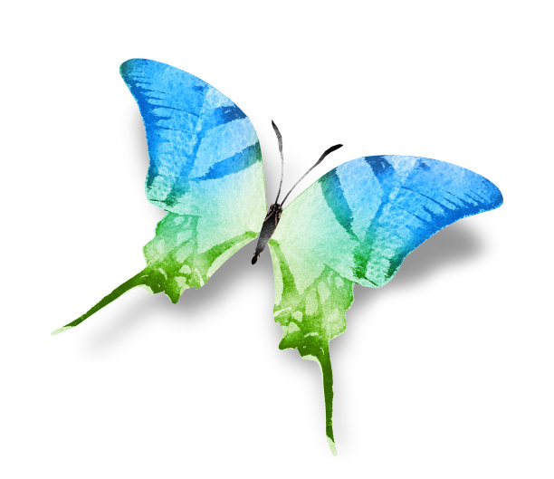 彩色水彩画蝴蝶，孤立在白色的背景上图片下载