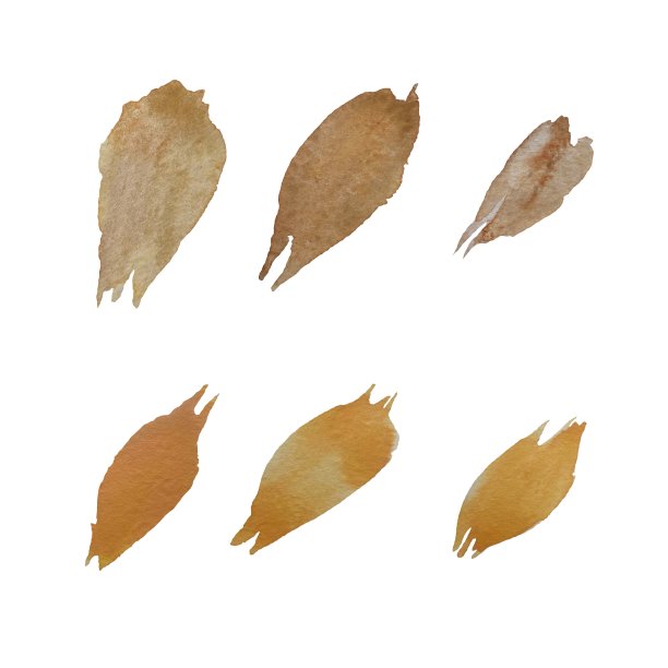 花瓣粉红桃红玫瑰花集水彩图片下载