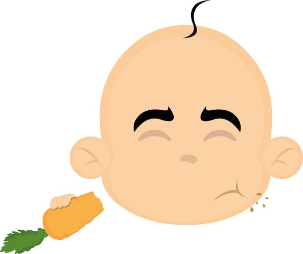 病媒新生儿头吃咬过的胡萝卜图片下载