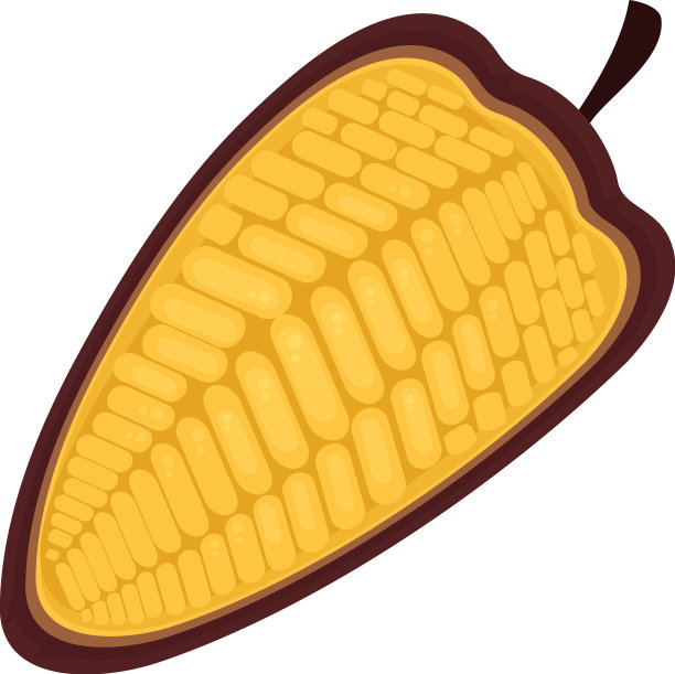 可可果类天然产品图片下载