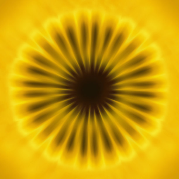 抽象向日葵，数字生成图像，插图图片下载