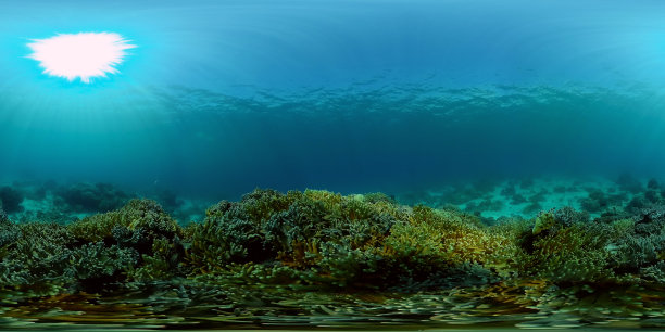 珊瑚礁和热带鱼。菲律宾。虚拟现实360图片下载