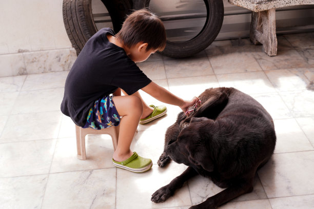一个孩子在门廊上可爱地修剪一只黑色的兰巴多狗的照片。图片下载