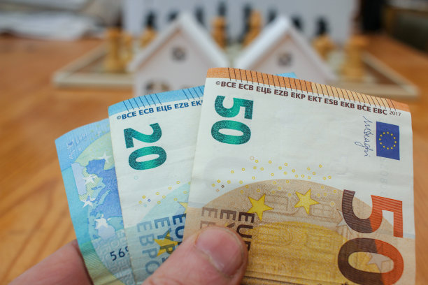 我手里拿着欧元纸币图片下载