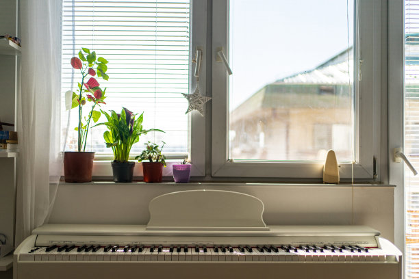 靠近照片的白色钢琴的窗户与花盆。图片下载