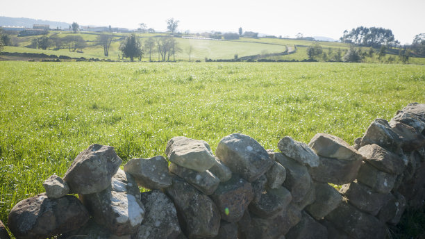 在田野边界上的岩石图片下载