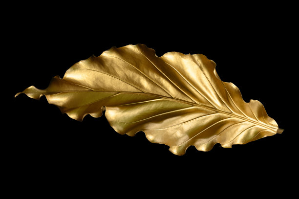 热带叶金黄色和黑色，可作为背景(怪兽，棕榈，椰子)蕨类。图片下载