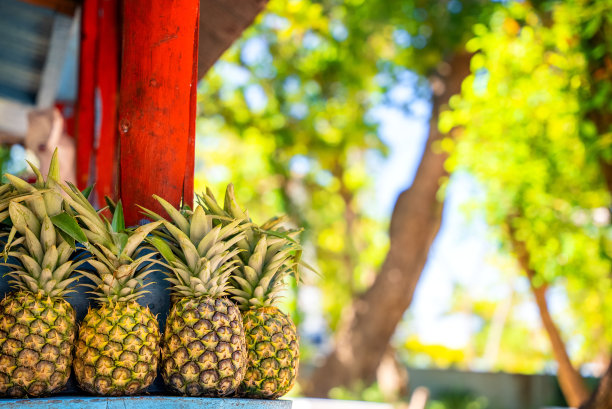 水果店柜台上成熟的黄色菠萝，模糊的复制空间背景。新鲜果汁和维生素，暑假健康生活方式图片下载