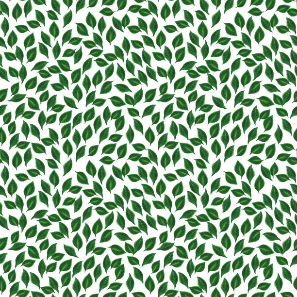 手绘水彩绿叶无缝图案在白色背景。剪贴簿，明信片，纺织品，织物。图片下载