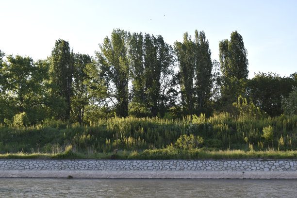 塞尔维亚尼斯市的尼萨瓦河图片下载