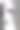 春天的花朵——生机勃勃的紫罗兰和状况不好的郁金香花瓣。图片下载