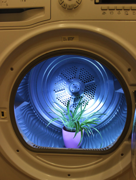植物在塑料锅内的洗衣机滚筒垂直故事库存照片图片下载