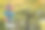 在秋季节日里，手绘的木制标志为人们指明方向图片下载